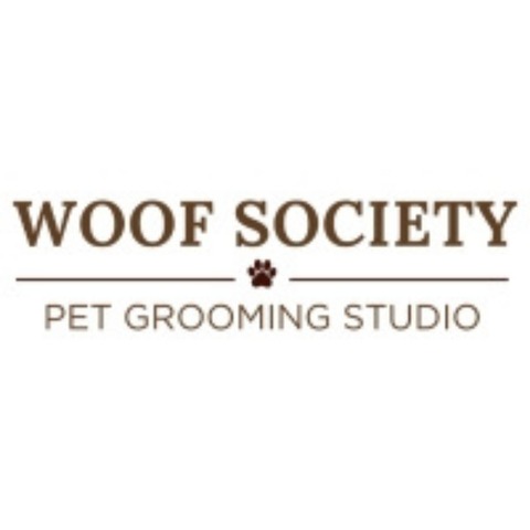 Doggy Day Care Brisbane